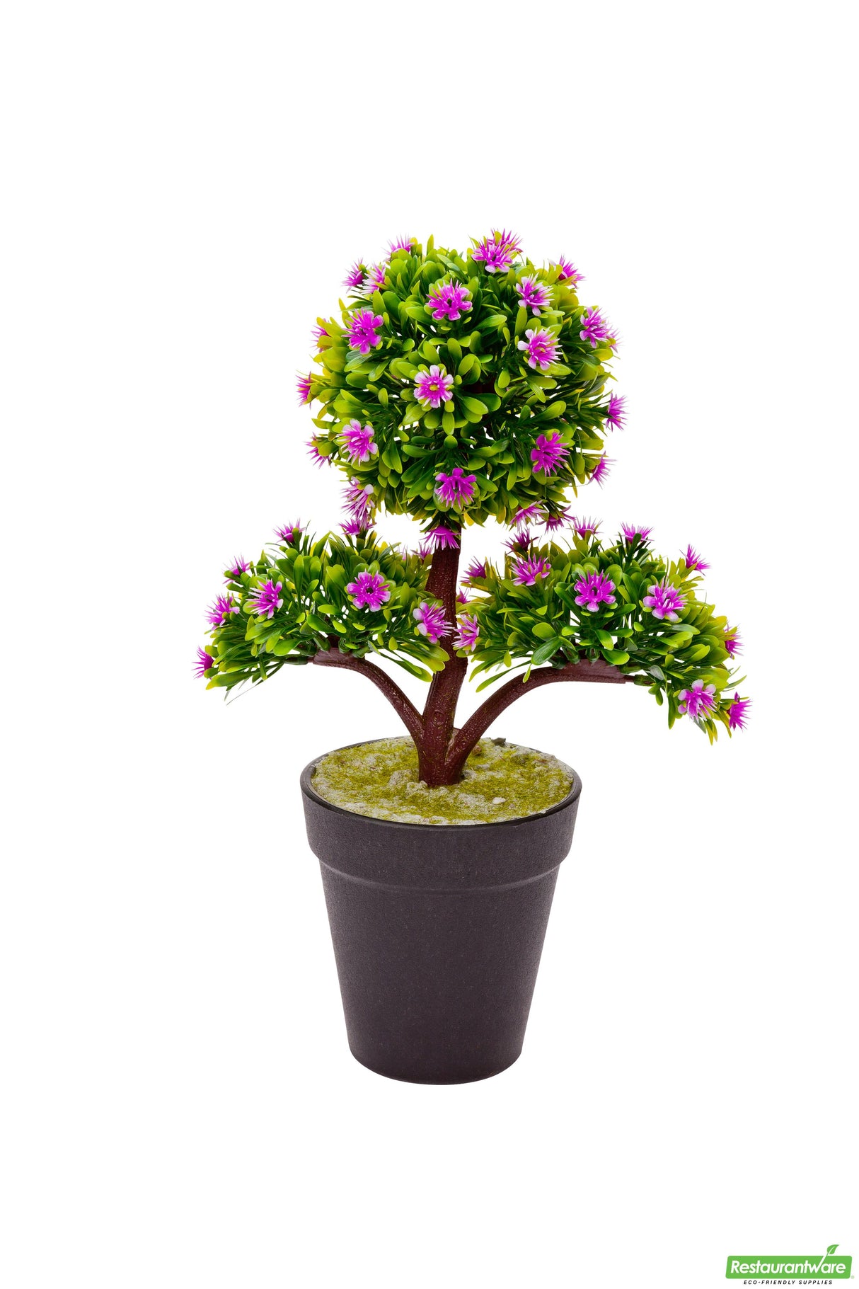 Crape Myrtle, Purple, Faux, in Black Plastic Pot,1 - 12 COUNT