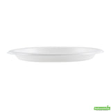 Plates, RW Base 9 x 9 x 0.75 Inch, Microwavable Plastic, White, Round,2 - 50 COUNT