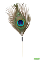 Skewers, 6 Inch, Bamboo, with Peacock Eye, 6 Linear Inch,1 - 500 COUNT