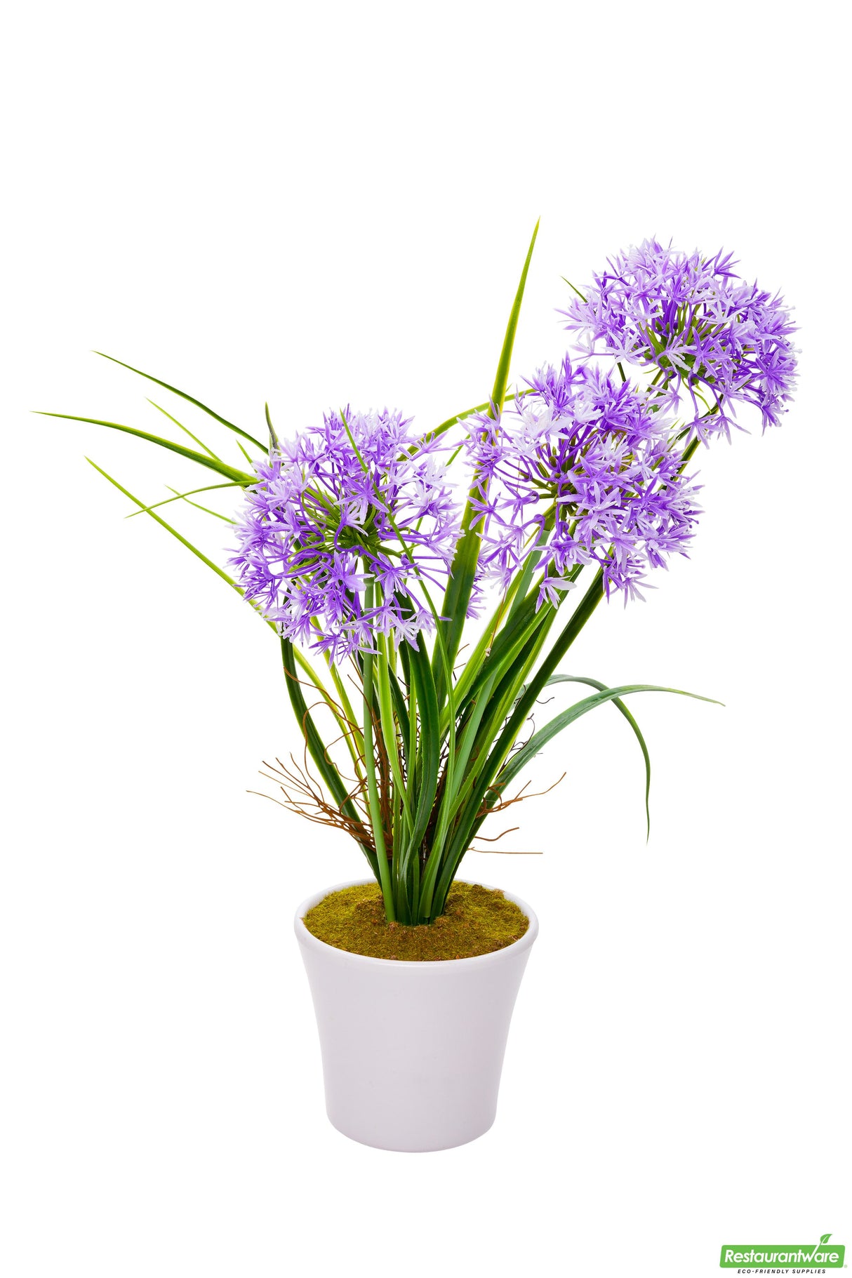 Allium, Violet, Faux, in Plastic White Pot,1 - 12 COUNT