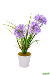 Allium, Violet, Faux, in Plastic White Pot,1 - 12 COUNT