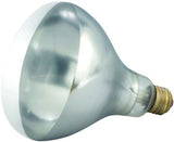 Heat Lamp Bulb, 250 Watt, Shatter-Resistant, Clear, For EHL-2 Heat Lamp,1 - 1 EACH
