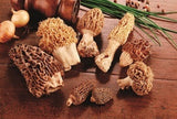 Mushrooms, Morel, Whole, Dried,1 - 1 POUND