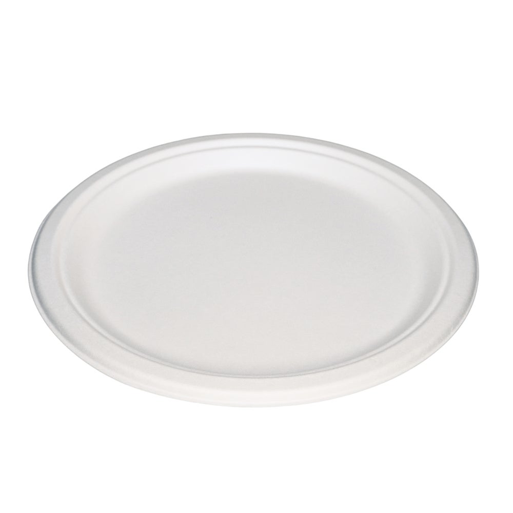 Plate, 12 Inch, Bagasse, White, Oval,500 - 1 COUNT