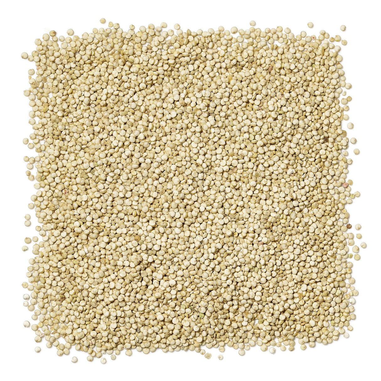 Quinoa, Roasted Garlic,12 - 5.46 OUNCE