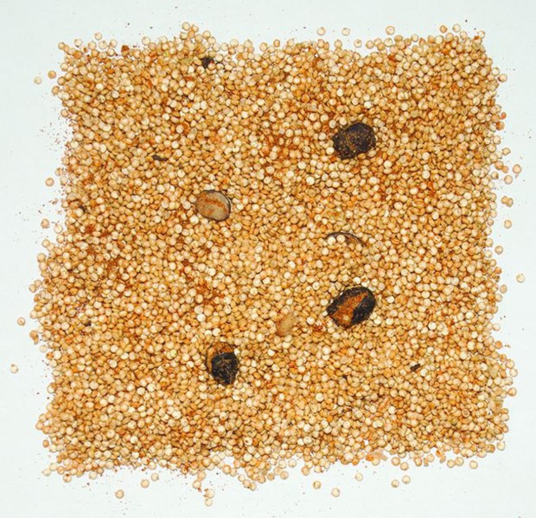 Quinoa, Black Bean,12 - 5.46 OUNCE