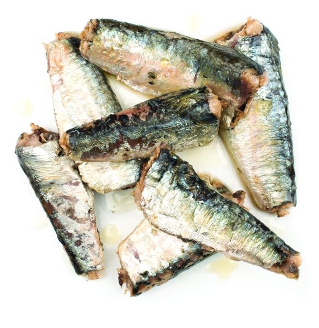 Sardines, Plain, in Olive Oil,100 - 4.38 OUNCE