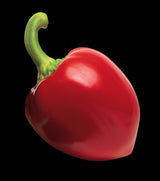 Pimientos, Red, Diced, Peeled,24 - 7 OUNCE