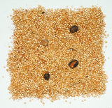 Quinoa, Black Bean,12 - 5.46 OUNCE