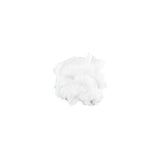 Oil, Coconut, Semi Solid, Organic Refined,6 - 16 FLUID
