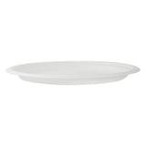 Plates, Pulp Safe 10.25 x 10.25 x 0.75 Inch, Sugarcane & Bagasse, White, Round,100 - 1 COUNT