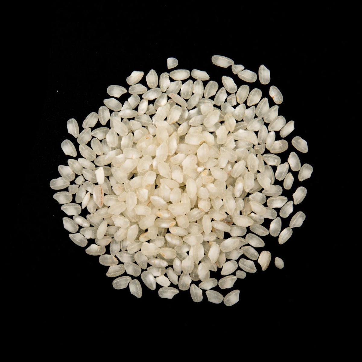 Rice, Bomba, Valencia,1 - 10 POUND