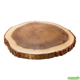 Tray, Display, 12 Inch, Round, Rustic Tree, Basswood,1 - 1 COUNT