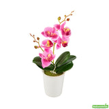 Orchids, Purple, Faux, with 5 Blooms, in White Plastic Pot,1 - 12 COUNT