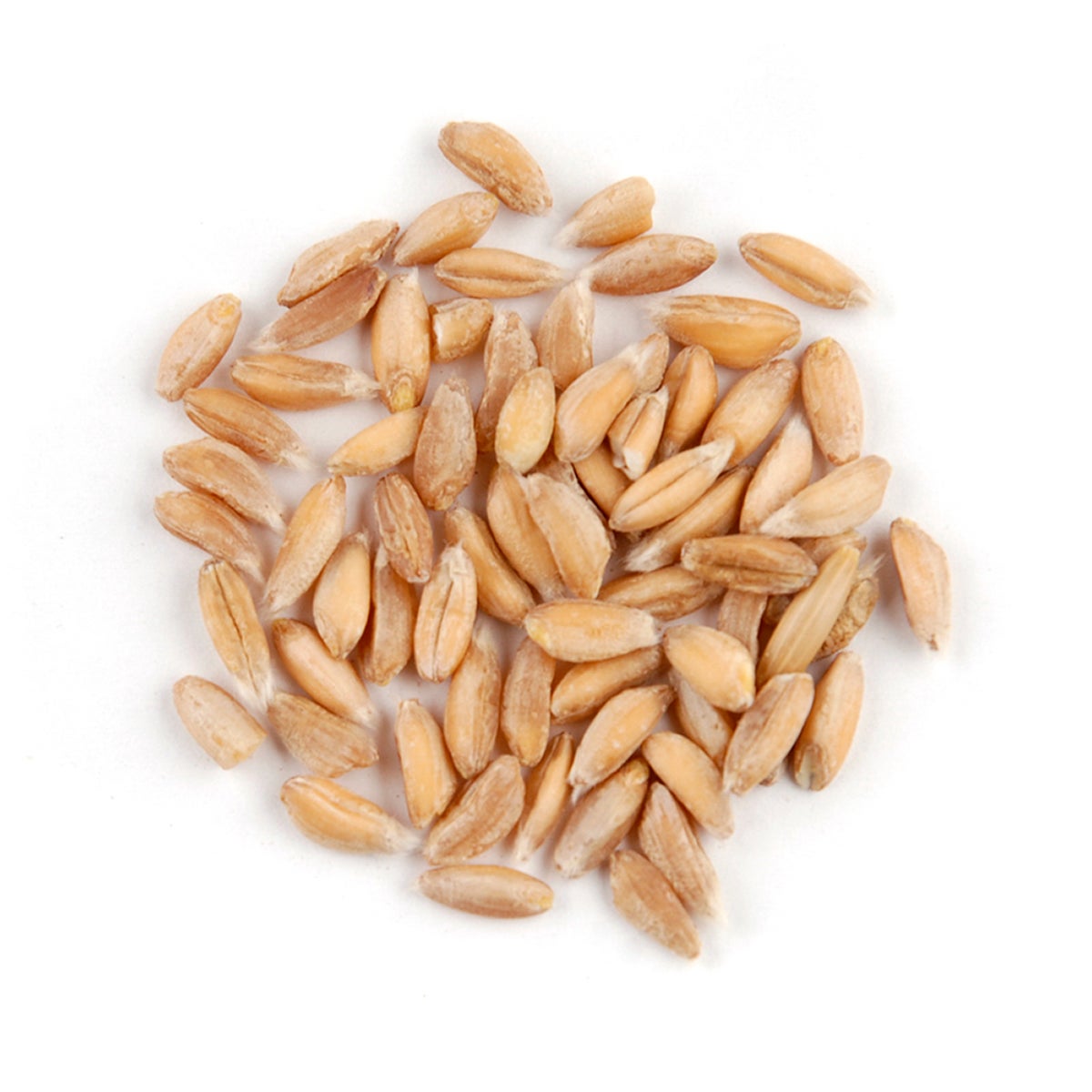 Farro,1 - 25 POUND