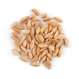 Farro,1 - 25 POUND