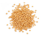 Spice, Mustard Seed, Whole, Yellow,1 - 24 OUNCE