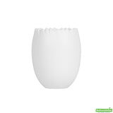 Cups, Dessert, 2 Ounce, Plastic, White, Cracked-Egg Shape, Heavyweight, 2 Ounce,1 - 100 COUNT