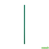 Straws, 8.3 Inch, Plastic, Green, PLA, 8.3 Linear Inch,1 - 2000 COUNT