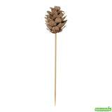 Skewers, 4 Inch, Bamboo, with Mini Pine Cone, 4 Linear Inch,1 - 500 COUNT