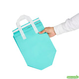 Bags, Take-Out, Bag Tek 9.5 x 6 x 10.25 Inch, Fabric, Teal, Insulated, Tamper-Evident,4 - 25 COUNT