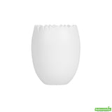 Cups, Dessert, 2 Ounce, Plastic, White, Cracked-Egg Shape, Heavyweight, 2 Ounce,1 - 100 COUNT