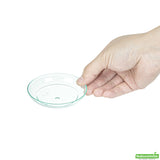 Plates, Rotondo Appetizer, 3.25 Inch, Plastic, Sea Green, Round, Heavyweight, 3.25 Linear Inch,1 - 100 COUNT
